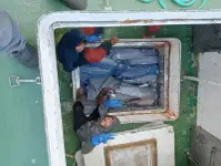 Nava de pescuit tip trauler de vânzare