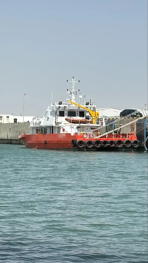 Catamaran de vânzare