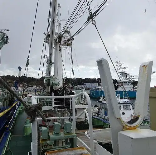 seiner de vânzare