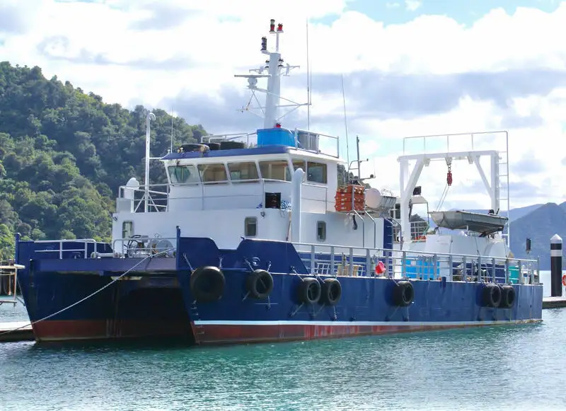 Catamaran de vânzare