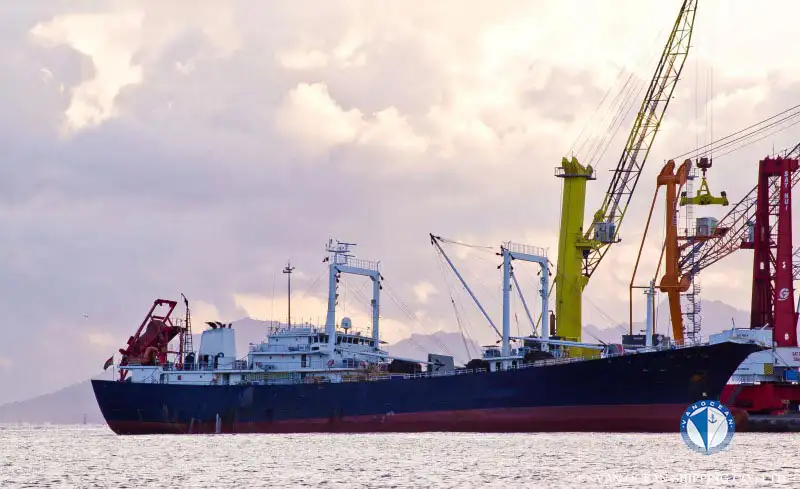 Nava refefer de vânzare