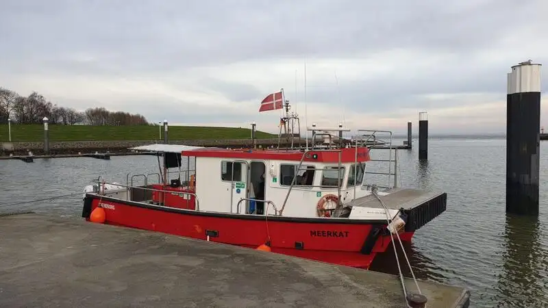 Catamaran de vânzare