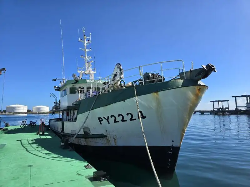 Traul de pescuit de vânzare