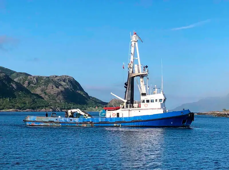 Remorcher de vânzare