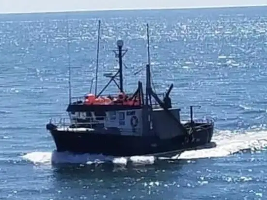 Nava cu paragate de vânzare