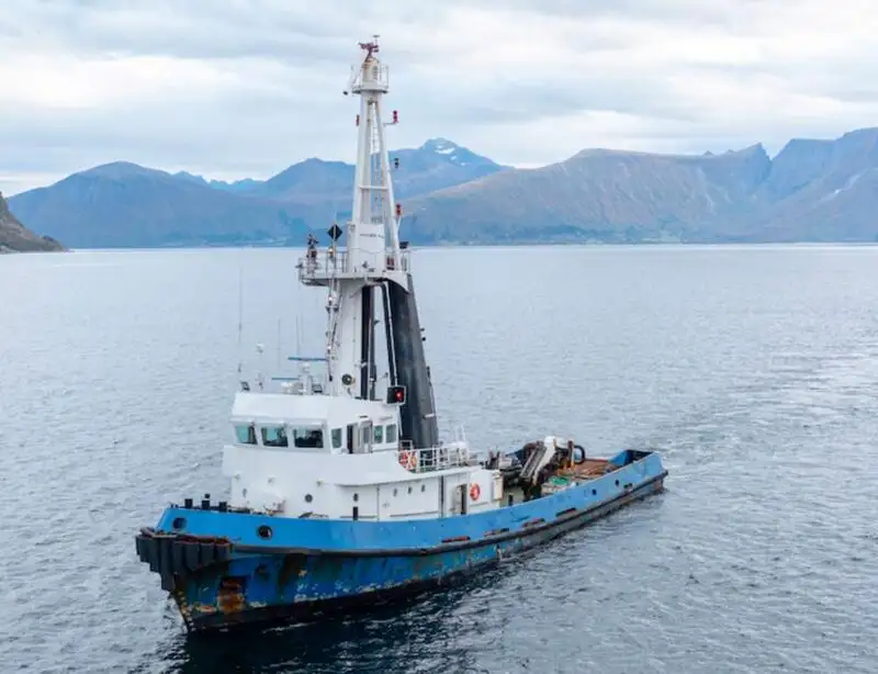 Remorcher de vânzare