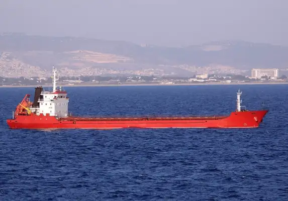 Bulk carrier for sale