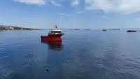 Barci de lucru de vânzare