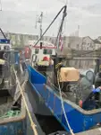 Purtător de pește viu de vânzare