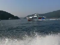 Navă cu feribotul de vânzare