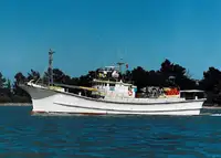 Nava cu paragate de vânzare