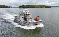 Catamaran de vânzare