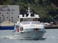 Navă cu feribotul de vânzare