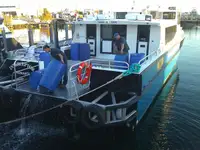 Catamaran de vânzare