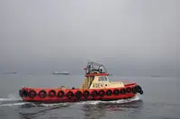 Remorcher de vânzare