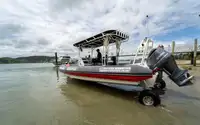 Amfibiu de vânzare