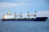 Vrachier de vânzare