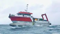 Catamaran de vânzare