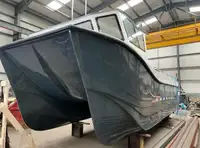 Catamaran de vânzare
