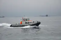 Remorcher de vânzare