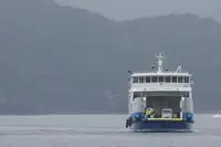 Nava RORO de vânzare