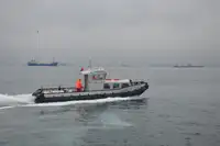 Remorcher de vânzare