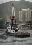 Remorcher de vânzare