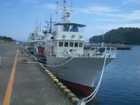 Traul de pescuit de vânzare