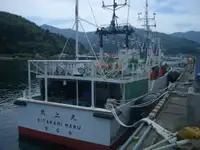 Traul de pescuit de vânzare