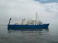 Multifuncțional de vânzare