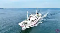 Nava de inspecție de vânzare