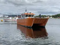 Catamaran de vânzare