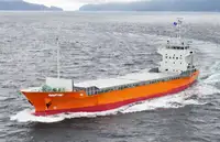 Nava de containere de vânzare