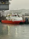 Catamaran de vânzare