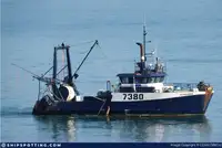 Fier vechi de vânzare