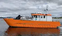 Catamaran de vânzare