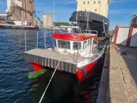 Catamaran de vânzare