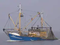 Traul de pescuit de vânzare