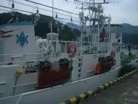 Traul de pescuit de vânzare