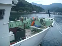 Traul de pescuit de vânzare