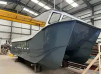 Catamaran de vânzare