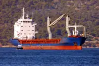 Vrachier de vânzare