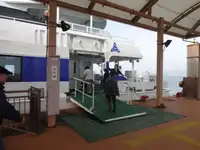 Catamaran de vânzare