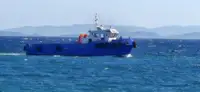 Remorcher de vânzare