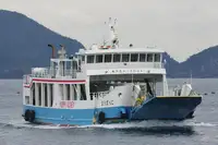 Nava RORO de vânzare
