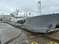Nava cu paragate de vânzare