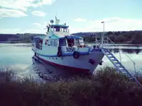 Vas cu motor de vânzare