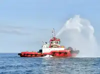 Remorcher de vânzare