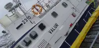Barci de lucru de vânzare