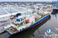 Nava refefer de vânzare